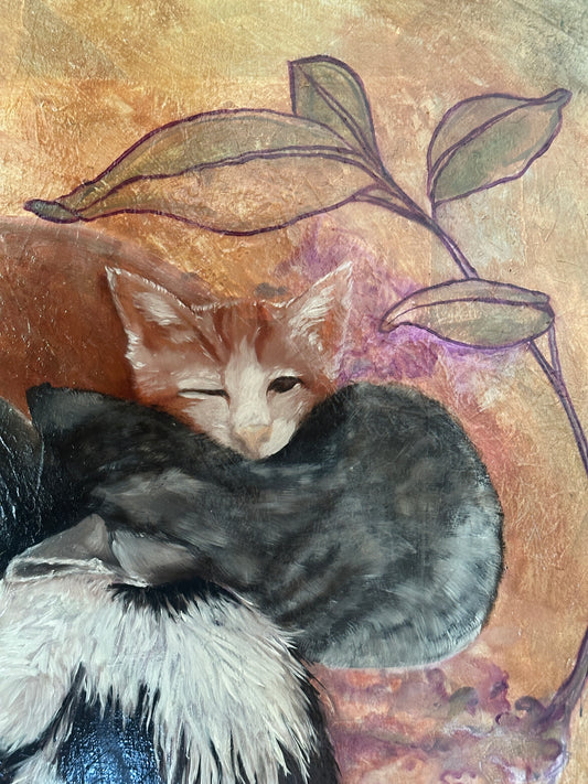 Somnia Felina